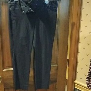 The Limited Navy Ankle pants